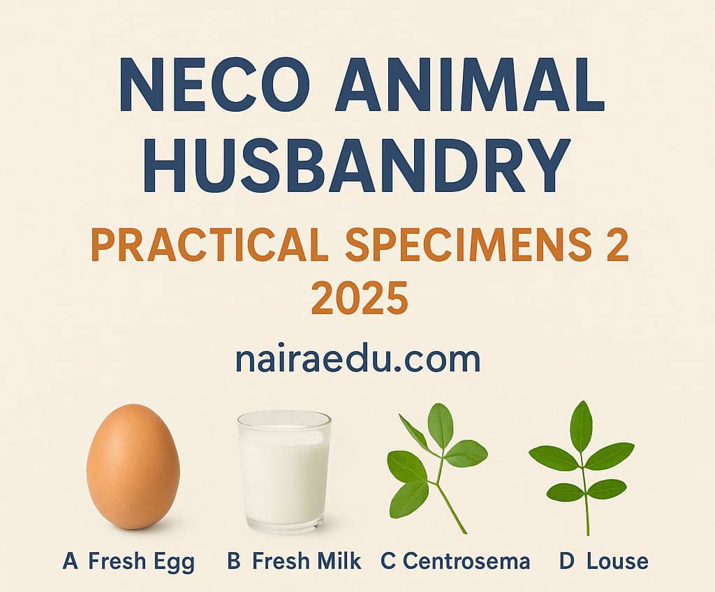 NECO Animal Husbandry Practical Specimens 2025