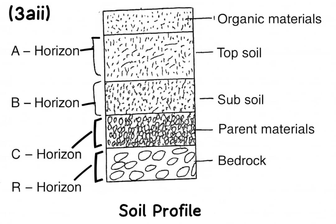 NECO Agric Science 2025