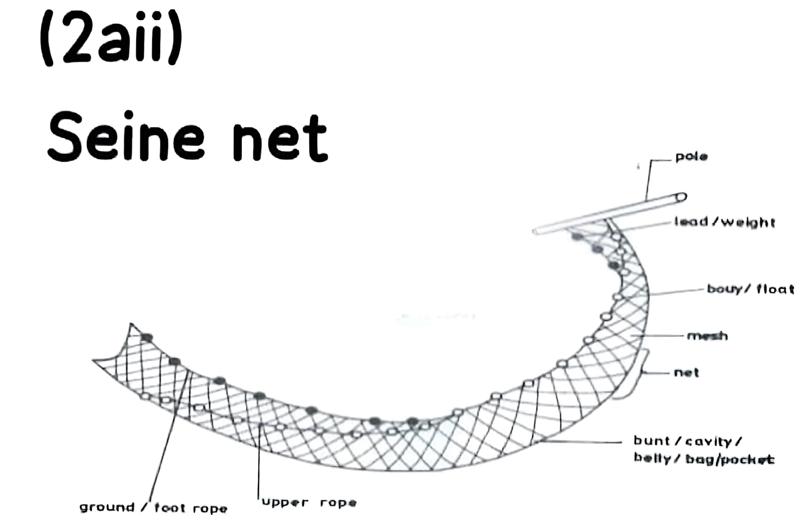 Seine net Diagram